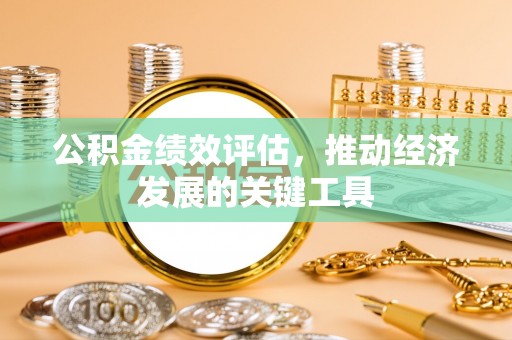 大武公积金绩效评估，推动经济发展的关键工具