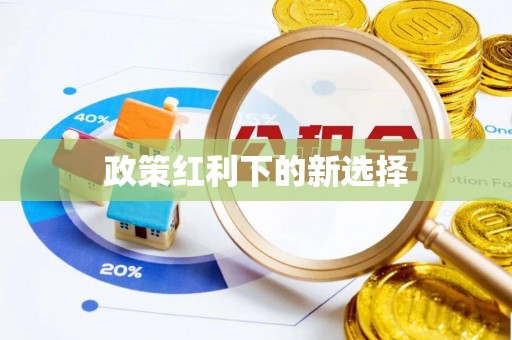 大武政策红利下的新选择