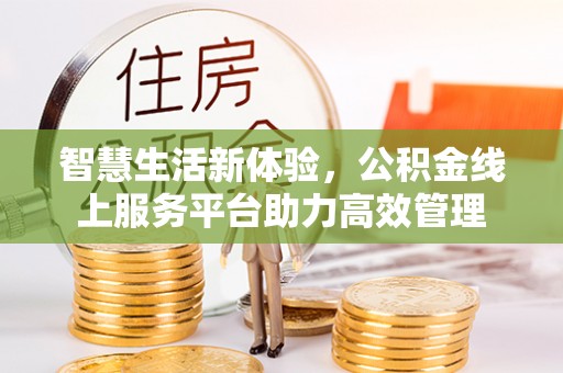 大武智慧生活新体验，公积金线上服务平台助力高效管理