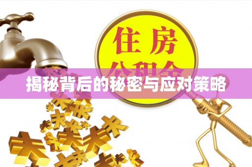 大武揭秘背后的秘密与应对策略