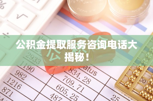 大武公积金提取服务咨询电话大揭秘！