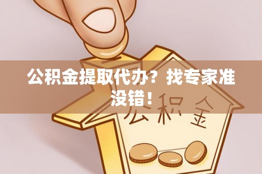 大武公积金提取代办？找专家准没错！