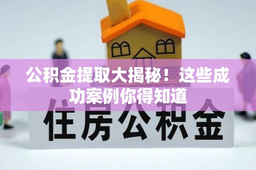 大武公积金提取大揭秘！这些成功案例你得知道
