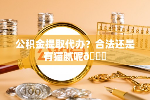 大武公积金提取代办？合法还是有猫腻呢😏