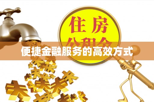 大武便捷金融服务的高效方式