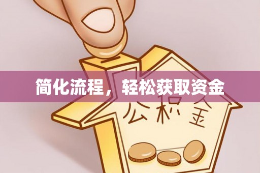 大武简化流程，轻松获取资金