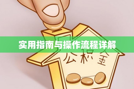 大武实用指南与操作流程详解