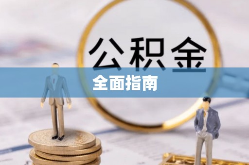 大武全面指南