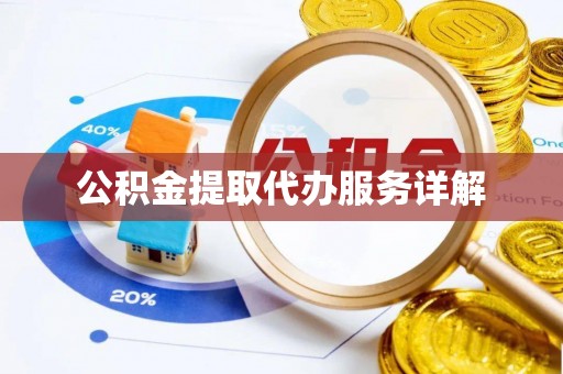 大武公积金提取代办服务详解