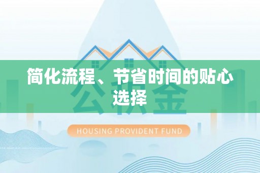 大武简化流程、节省时间的贴心选择