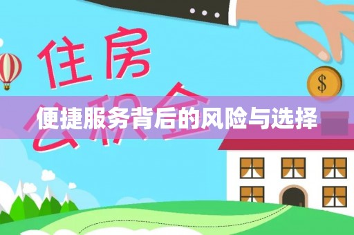 大武便捷服务背后的风险与选择